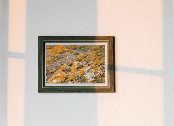 Arquipélago das Berlengas - ID114