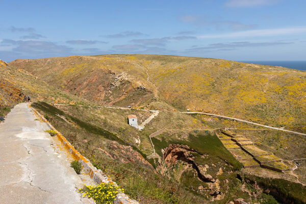 Arquipélago das Berlengas - ID115