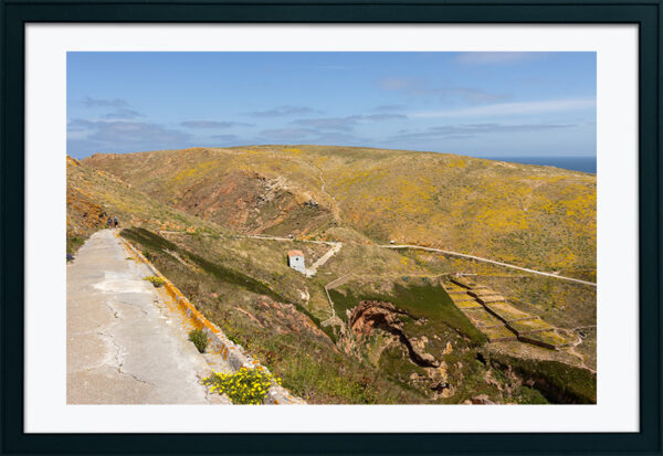 Arquipélago das Berlengas - ID115