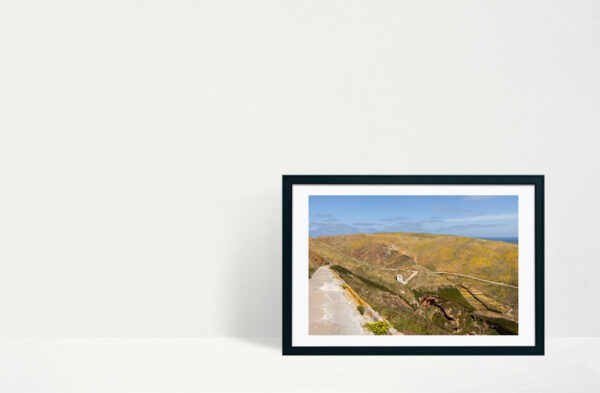 Arquipélago das Berlengas - ID115