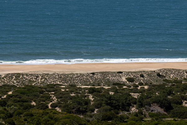 Praia do Salgado - ID2