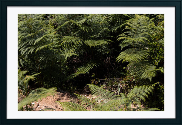 Praia do Salgado - ID3