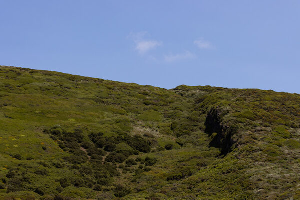 Praia do Salgado - ID4