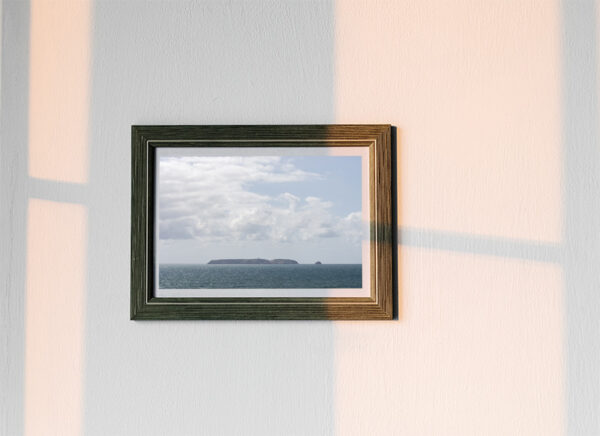 Arquipélago das Berlengas - ID116