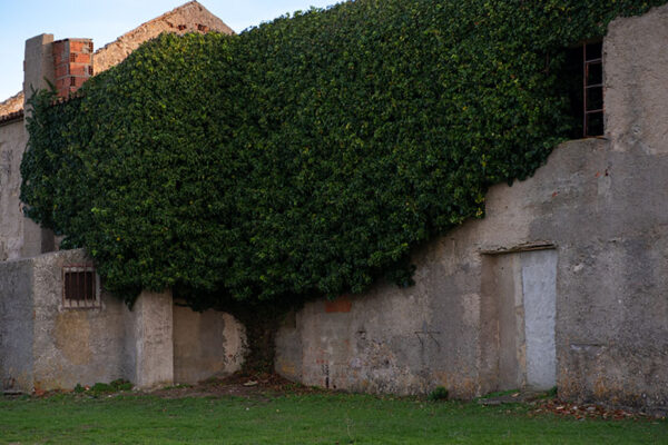 Cabo Espichel - ID28