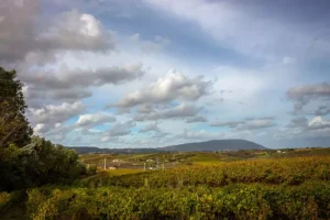 Serra de Montejunto – ID2