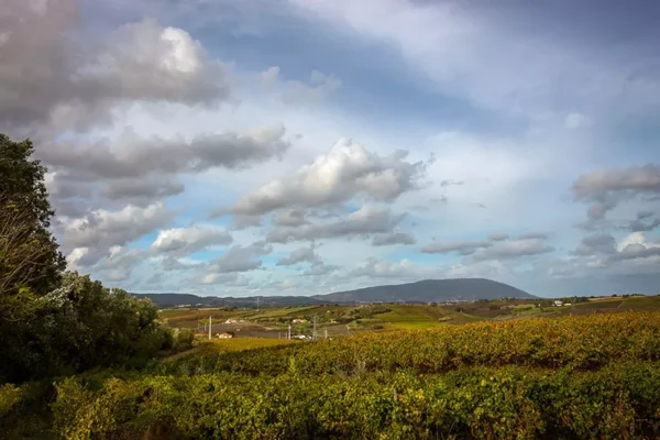 Serra de Montejunto – ID2