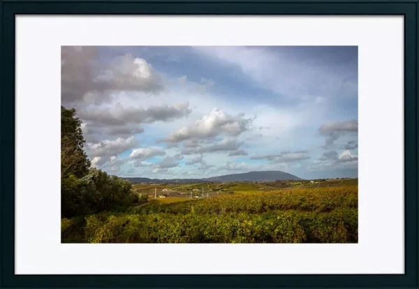 Serra de Montejunto – ID2