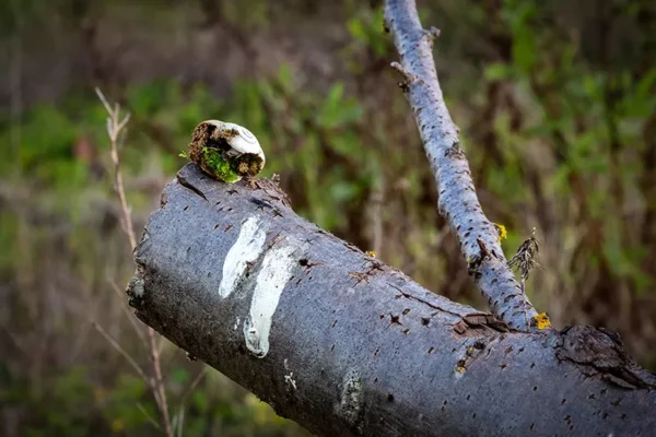 Alenquer - Poster ID44