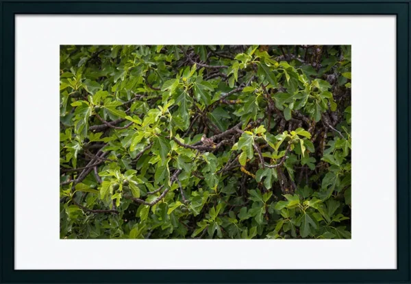 Alenquer - Poster ID48