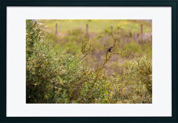 Alenquer - Poster ID49