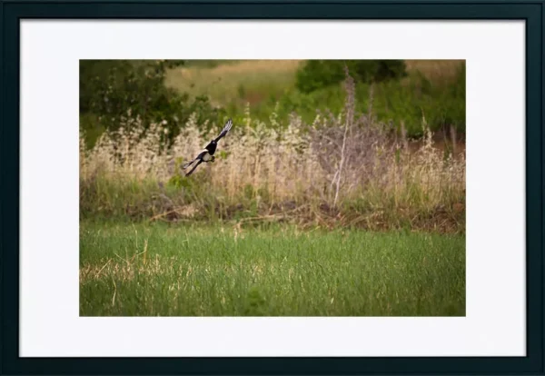 Alenquer - Poster ID50