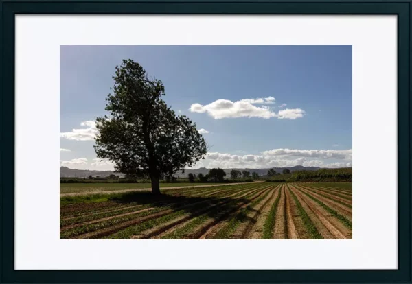 Alenquer - Poster ID51