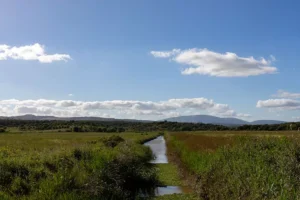 Alenquer - Poster ID52