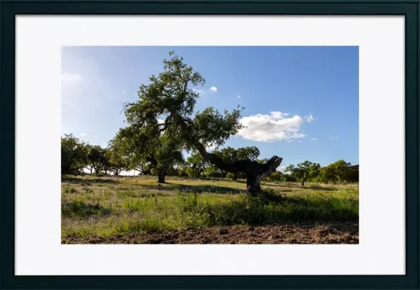 Alenquer - Poster ID53