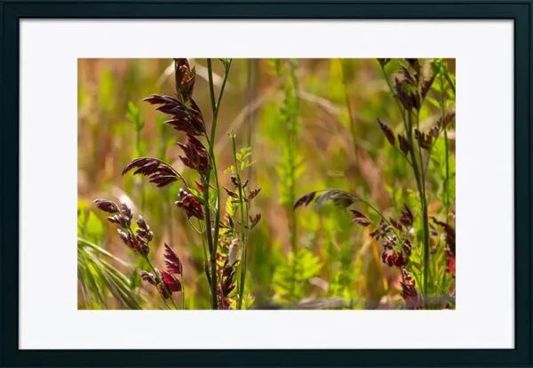 Alenquer - Poster ID55