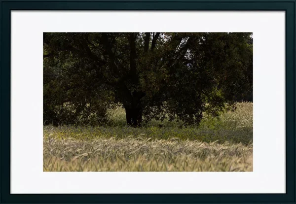 Alenquer - Poster ID56