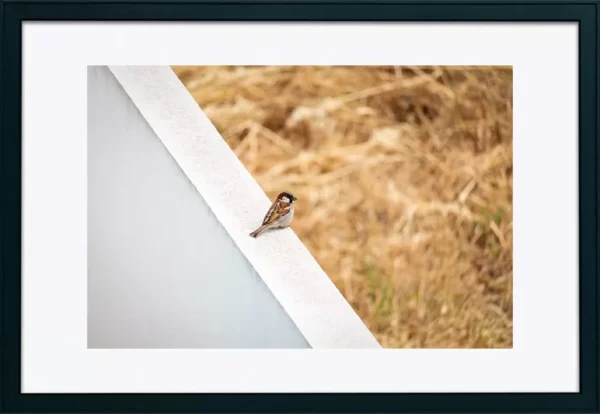 Alenquer - Poster ID58