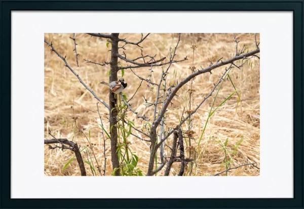 Alenquer - Poster ID59