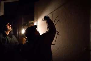 Pintar e Cantar dos Reis - Poster ID1