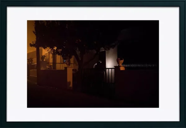 Pintar e Cantar dos Reis - Poster ID2