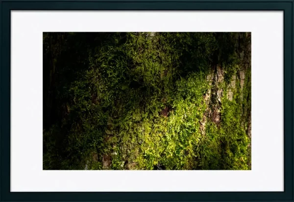 Serra de Montejunto – ID14