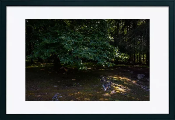 Serra de Montejunto – ID15