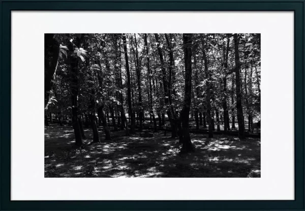 Serra de Montejunto – ID16