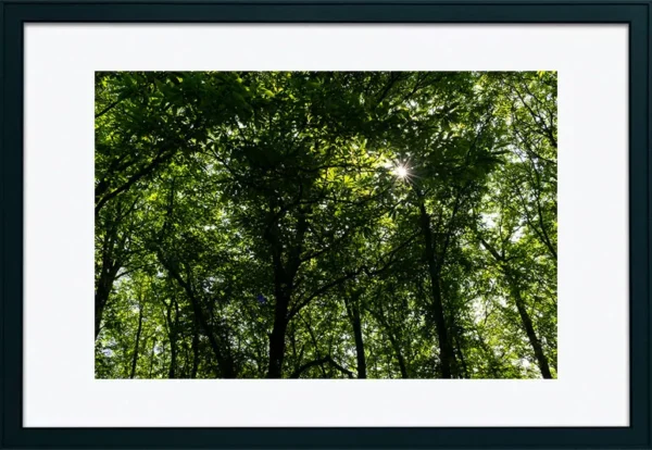 Serra de Montejunto – ID17