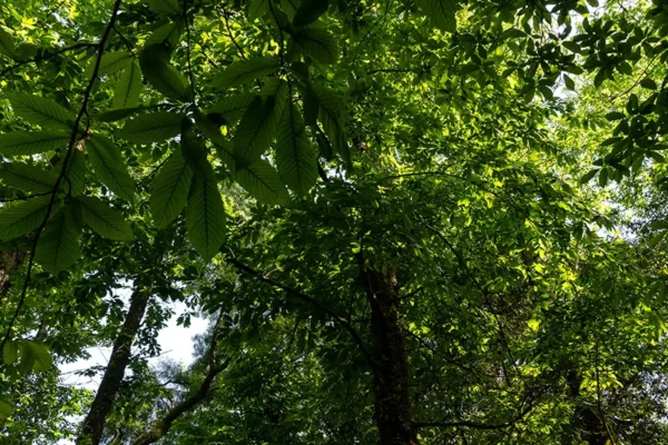 Serra de Montejunto – ID18