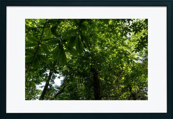 Serra de Montejunto – ID18