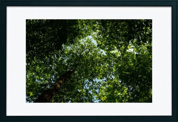 Serra de Montejunto – ID19