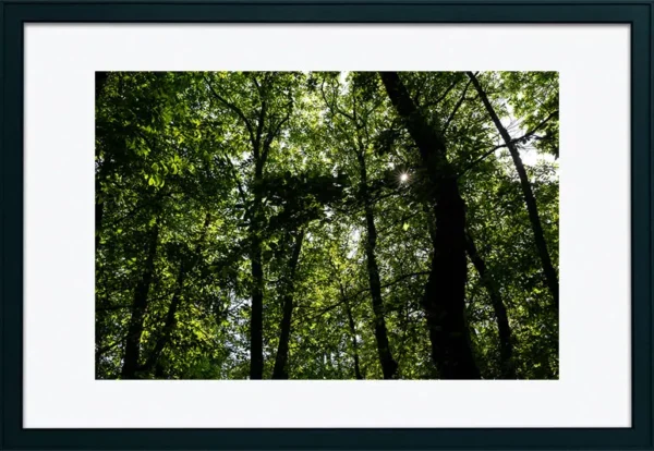 Serra de Montejunto – ID20