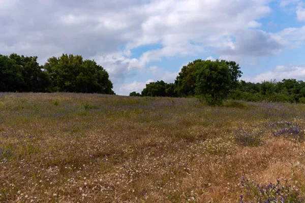 Serra de Montejunto – ID23