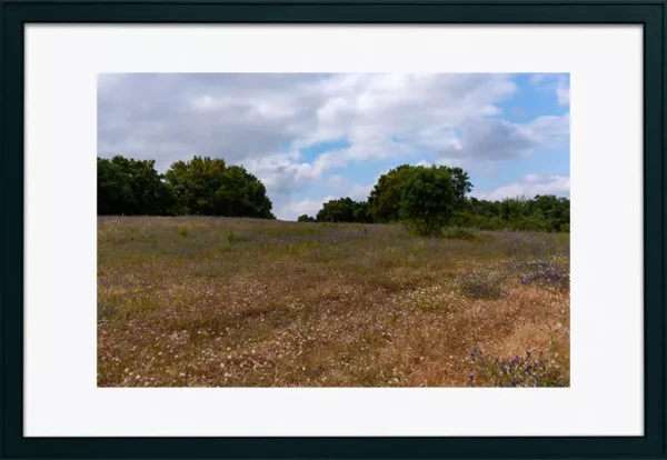 Serra de Montejunto – ID23