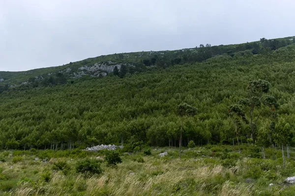 Serra de Montejunto – ID24