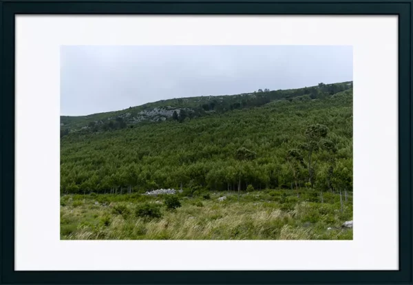 Serra de Montejunto – ID24