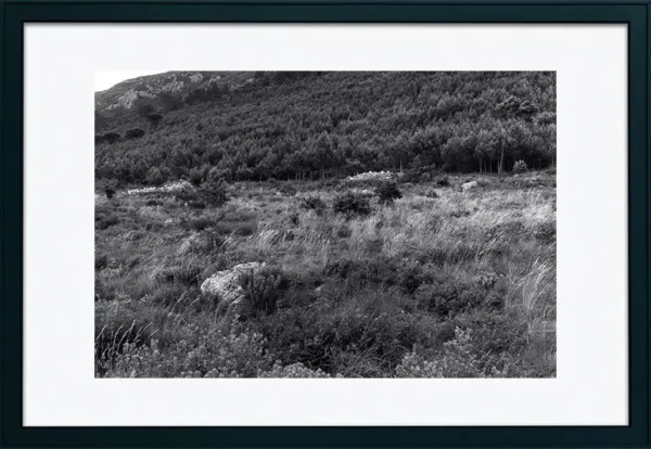 Serra de Montejunto – ID25