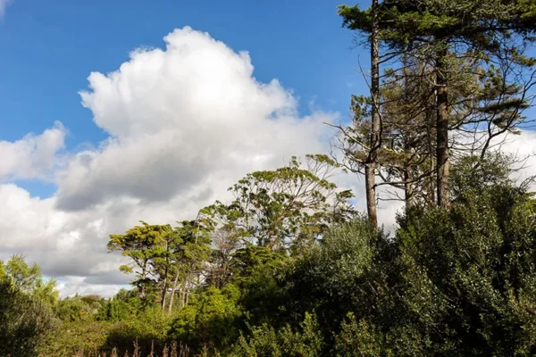 Alenquer - Poster ID96