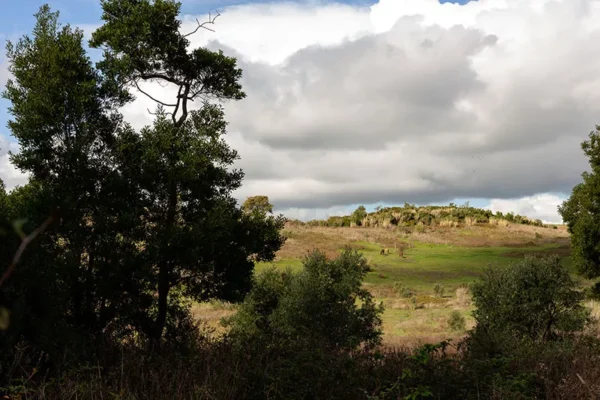 Alenquer - Poster ID97