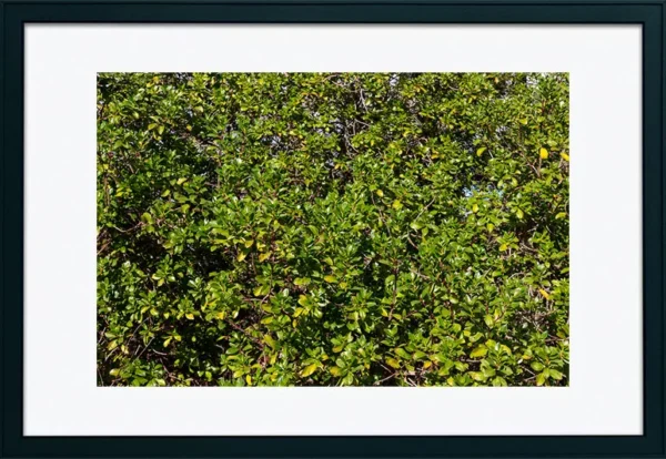 Alenquer - Poster ID98