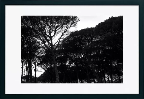 Serra de Montejunto - Poster ID51