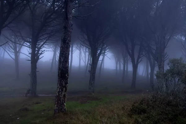 Serra de Montejunto - Poster ID54