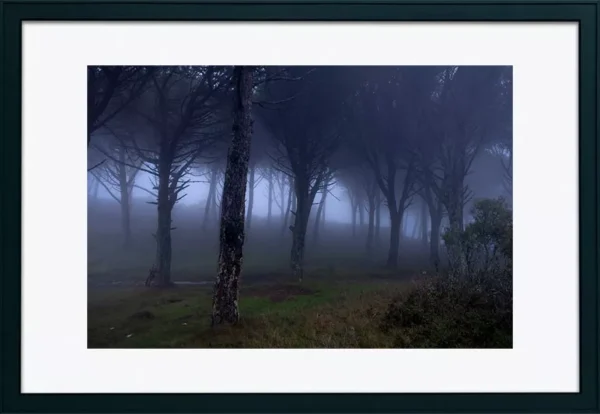 Serra de Montejunto - Poster ID54