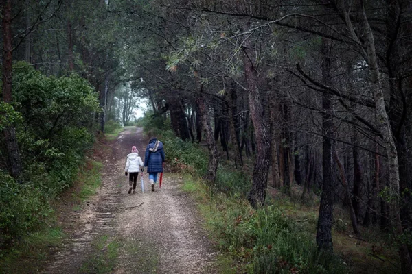 Alenquer - Poster ID102