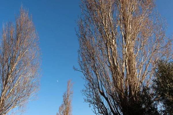 Alenquer - Poster ID111