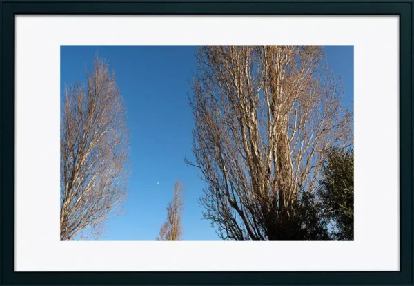 Alenquer - Poster ID111