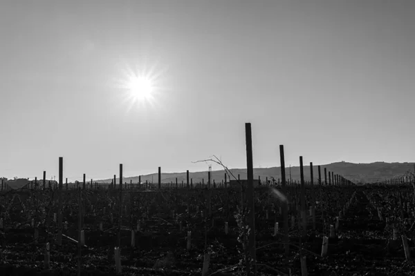 Alenquer - Poster ID112