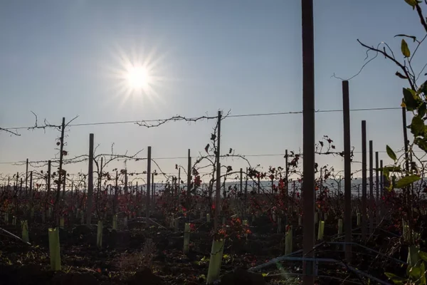 Alenquer - Poster ID113