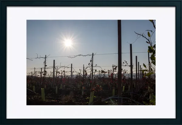 Alenquer - Poster ID113